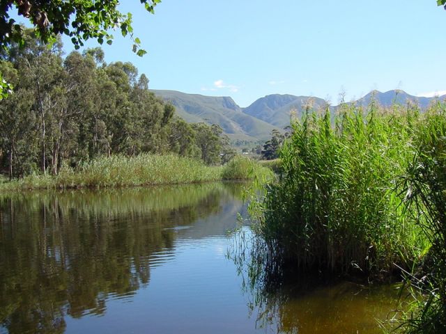Stanford Western Cape Ef39693e124d2e8431b927cf8dd84847
